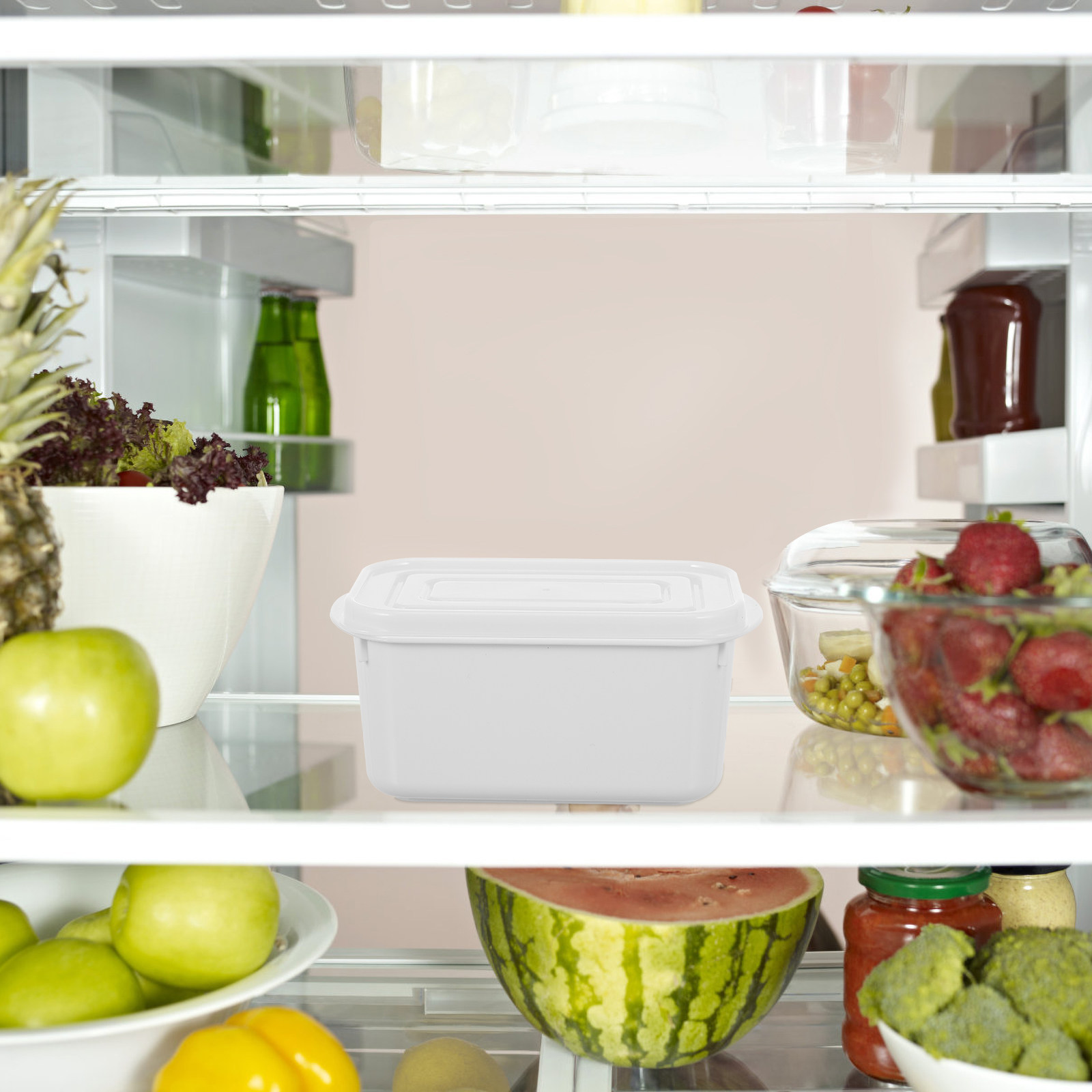 Food Storage In Restaurant - صندوقان لتخزين الطعام مع غطاء مقاوم